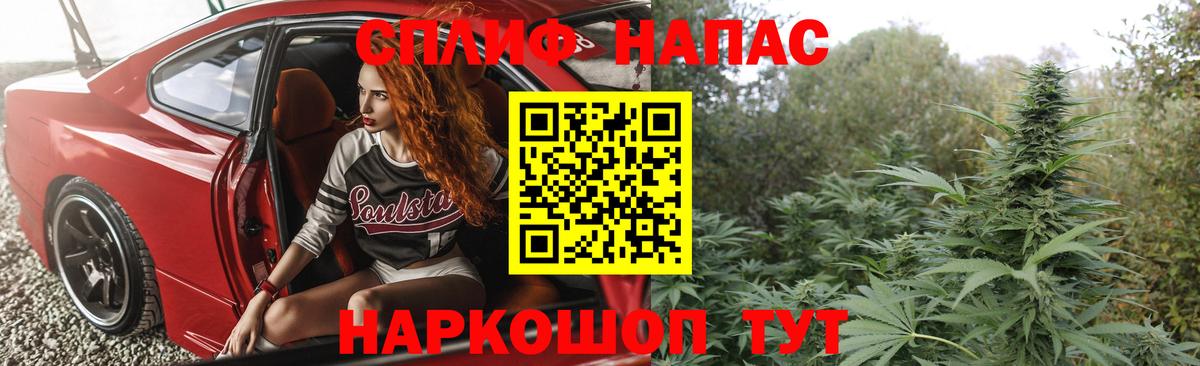 Каннабис план Барабинск